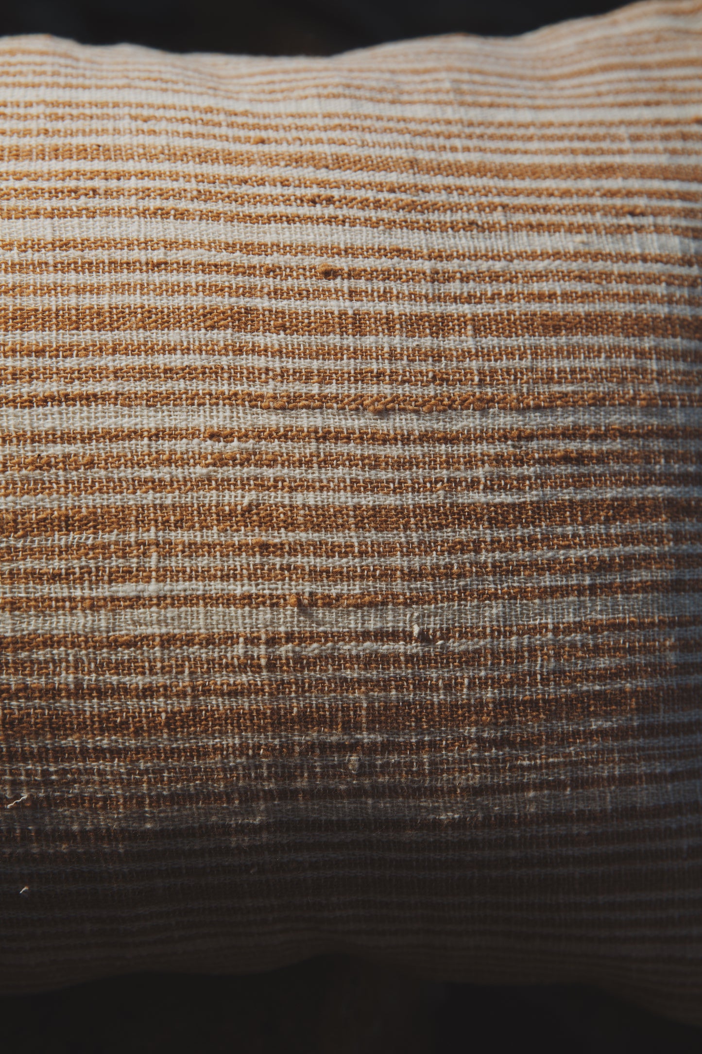 Close-up of the unique texture of heirloom cotton