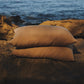 Style 003 - Earth pillow