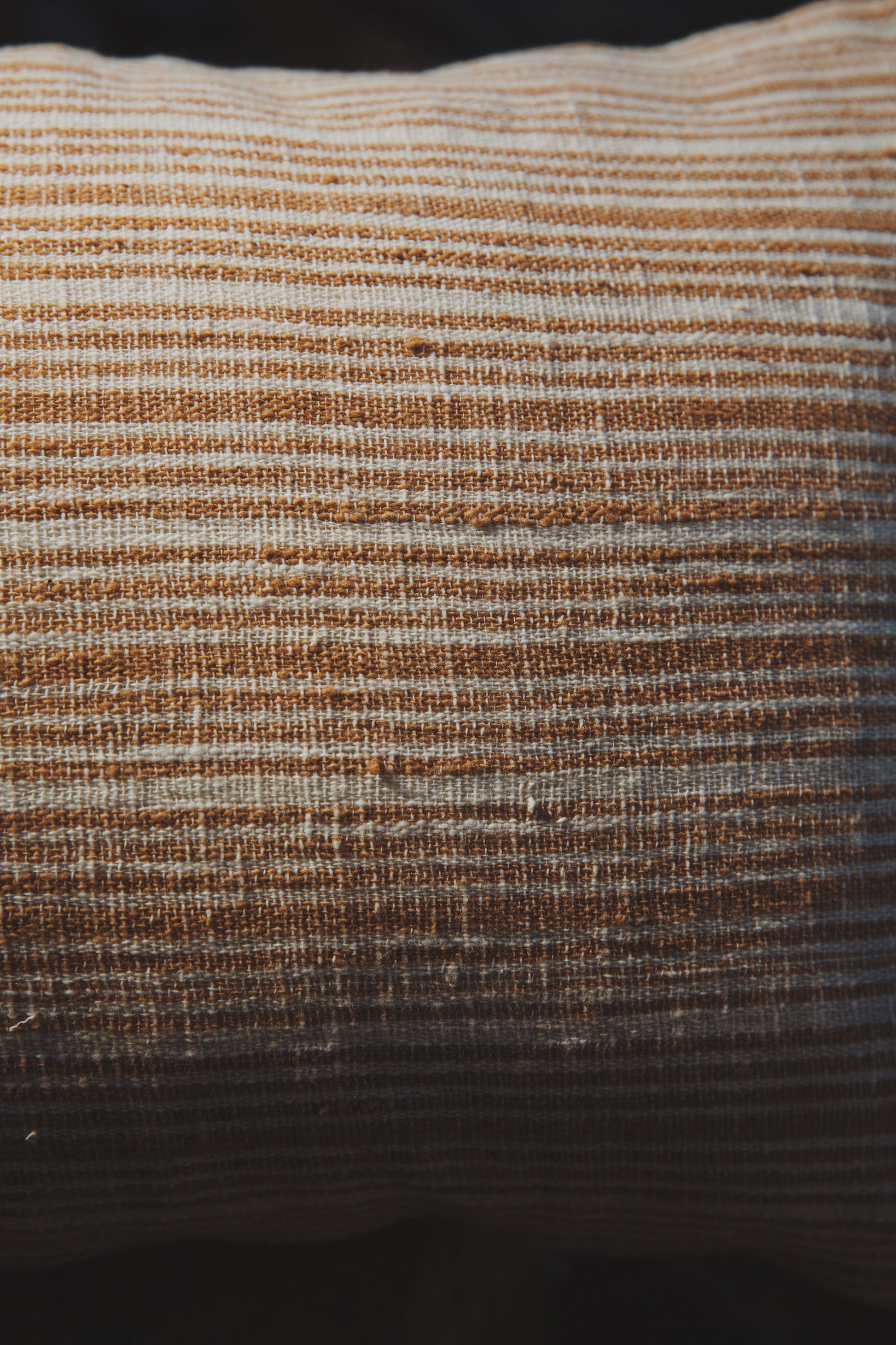 Close-up of the unique texture of heirloom cotton