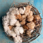 Basket filled with wild white and brown cotton on a blue textured background